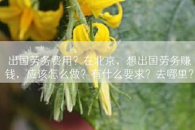 出国劳务费用？在北京，想出国劳务赚钱，应该怎么做？有什么要求？去哪里？
