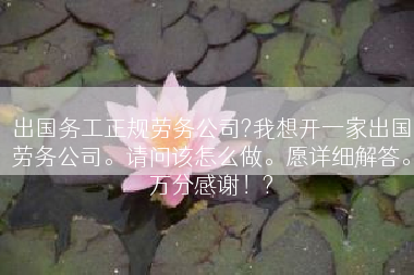 出国务工正规劳务公司?我想开一家出国劳务公司。请问该怎么做。愿详细解答。万分感谢！?