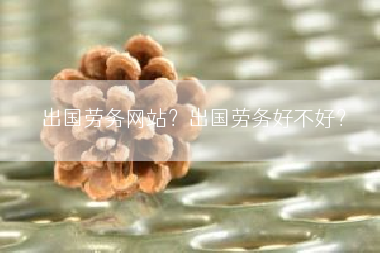 出国劳务网站？出国劳务好不好？