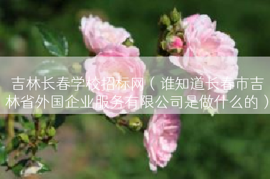 吉林长春学校招标网（谁知道长春市吉林省外国企业服务有限公司是做什么的）