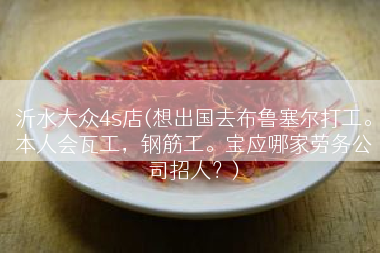 沂水大众4s店(想出国去布鲁塞尔打工。本人会瓦工，钢筋工。宝应哪家劳务公司招人？)