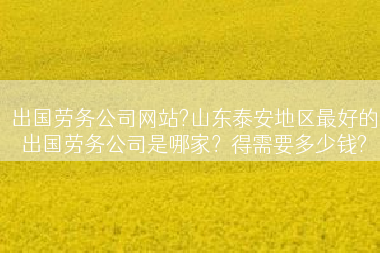 出国劳务公司网站?山东泰安地区最好的出国劳务公司是哪家？得需要多少钱?
