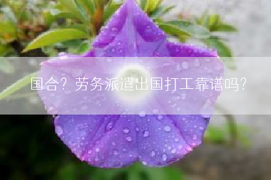 国合？劳务派遣出国打工靠谱吗？