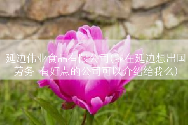 延边伟业食品有限公司(我在延边想出国劳务  有好点的公司可以介绍给我么)