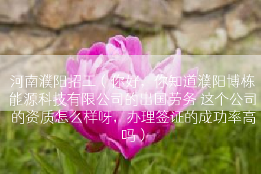 河南濮阳招工（你好，你知道濮阳博栋能源科技有限公司的出国劳务 这个公司的资质怎么样呀，办理签证的成功率高吗）