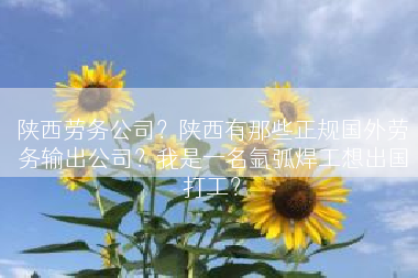 陕西劳务公司？陕西有那些正规国外劳务输出公司？我是一名氩弧焊工想出国打工？