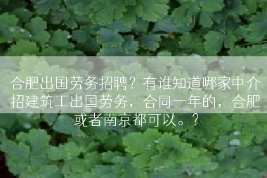 合肥出国劳务招聘？有谁知道哪家中介招建筑工出国劳务，合同一年的，合肥或者南京都可以。？