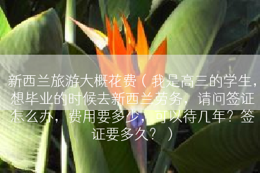 新西兰旅游大概花费（我是高三的学生，想毕业的时候去新西兰劳务，请问签证怎么办，费用要多少，可以待几年？签证要多久？）