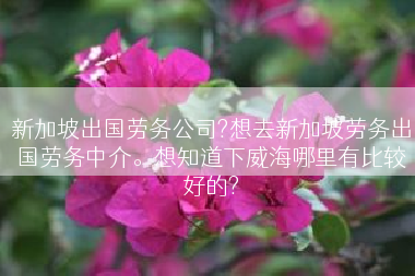 新加坡出国劳务公司?想去新加坡劳务出国劳务中介。想知道下威海哪里有比较好的?