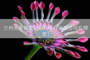 兰州劳务派遣公司？中石化五公司在哪里？