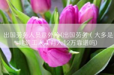 出国劳务人员意外险(出国劳务（大多是建筑工人）月入12万靠谱吗)