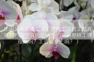 出国劳务派遣公司（请问出国打工是真是假？去了真的能向他们说的那样工资很高吗？工资能拿上吗？）