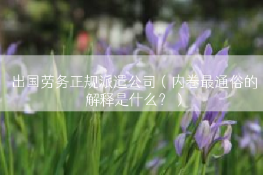 出国劳务正规派遣公司（内卷最通俗的解释是什么？）