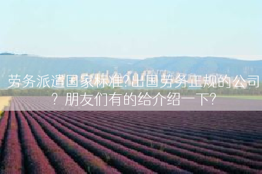 劳务派遣国家标准?出国劳务正规的公司？朋友们有的给介绍一下?