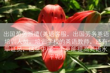 出国劳务派遣(英语客服，出国劳务英语培训人员，培训学校的英语教师，还有单证员，这些中哪一个更能提高英语水平呢)