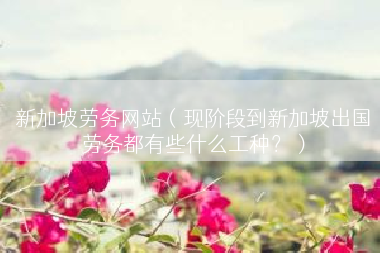 新加坡劳务网站（现阶段到新加坡出国劳务都有些什么工种？）