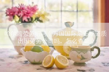 哈尔滨劳务招聘（万国国际是正规资质出国劳务公司吗，怎么查证）