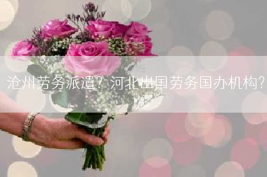 沧州劳务派遣？河北出国劳务国办机构？