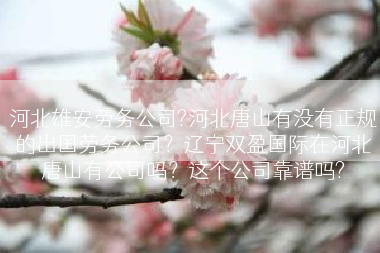 河北雄安劳务公司?河北唐山有没有正规的出国劳务公司？辽宁双盈国际在河北唐山有公司吗？这个公司靠谱吗?