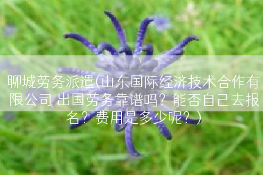 聊城劳务派遣(山东国际经济技术合作有限公司 出国劳务靠谱吗？能否自己去报名？费用是多少呢？)