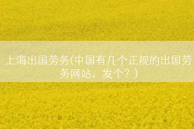 上海出国劳务(中国有几个正规的出国劳务网站，发个？)