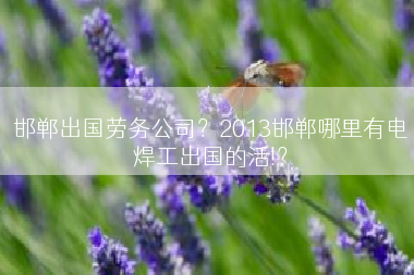 邯郸出国劳务公司？2013邯郸哪里有电焊工出国的活!？