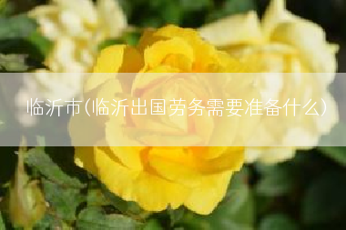 临沂市(临沂出国劳务需要准备什么)