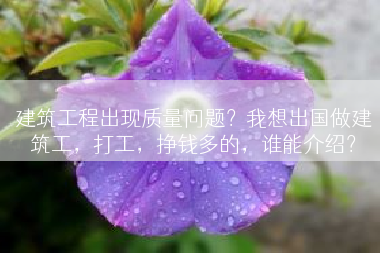 建筑工程出现质量问题？我想出国做建筑工，打工，挣钱多的，谁能介绍？