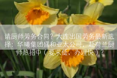 请厨师劳务合同？大连出国劳务最新选择：华曦集团盛和亚太公司，赴荷兰厨师热招中（要求低，办理快）？