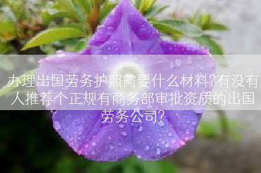 办理出国劳务护照需要什么材料?有没有人推荐个正规有商务部审批资质的出国劳务公司?