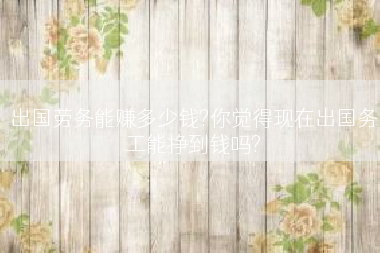 出国劳务能赚多少钱?你觉得现在出国务工能挣到钱吗?