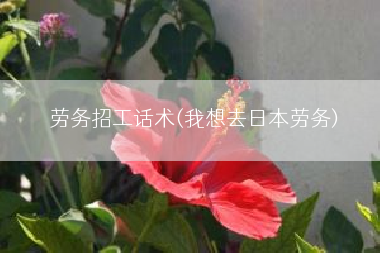 劳务招工话术(我想去日本劳务)
