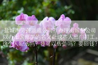 盐城市劳务派遣公司？办理出国的公司以办出国留学的名义让这些人出门打工。这个人犯法吗？我可以告他吗？要回钱？