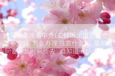韩国劳务派遣中介(去韩国出国劳务费用要多少钱  怎么办理 注意什么？  最长时间要多长时间能去   谁知道麻烦告诉下)