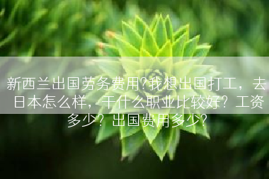 新西兰出国劳务费用?我想出国打工，去日本怎么样，干什么职业比较好？工资多少？出国费用多少?