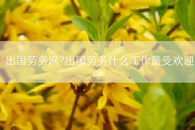 出国劳务网?出国劳务什么工作最受欢迎?