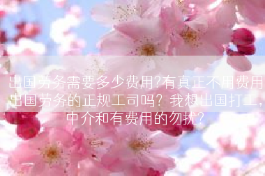 出国劳务需要多少费用?有真正不用费用出国劳务的正规工司吗？我想出国打工，中介和有费用的勿扰?