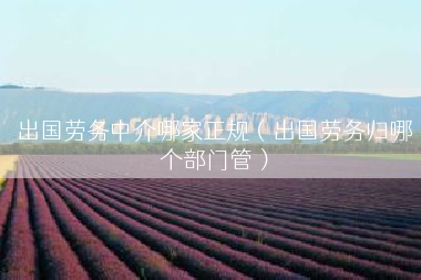出国劳务中介哪家正规（出国劳务归哪个部门管）