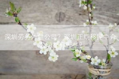 深圳劳务外包公司？深圳正规移民中介公司都有哪些？