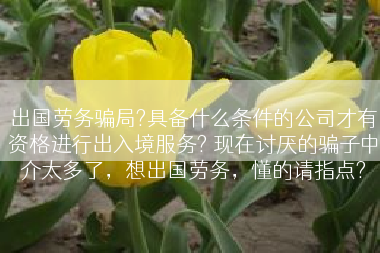 出国劳务骗局?具备什么条件的公司才有资格进行出入境服务? 现在讨厌的骗子中介太多了，想出国劳务，懂的请指点?