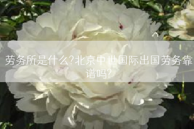 劳务所是什么?北京中世国际出国劳务靠谱吗?