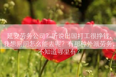 延安劳务公司？听说出国打工很挣钱，我想问问怎么能去呢？有那种外派劳务，不知道哪里有？