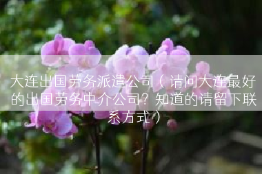 大连出国劳务派遣公司（请问大连最好的出国劳务中介公司？知道的请留下联系方式）