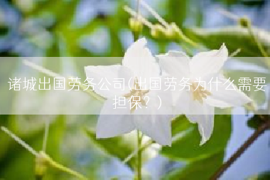 诸城出国劳务公司(出国劳务为什么需要担保？)
