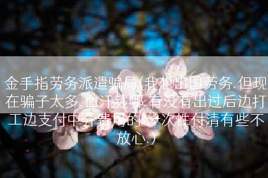金手指劳务派遣骗局(我想出国劳务.但现在骗子太多.血汗钱哪.有没有出过后边打工边支付中介费用的.一次性付清有些不放心.)
