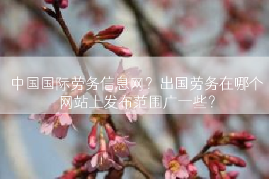 中国国际劳务信息网？出国劳务在哪个网站上发布范围广一些？
