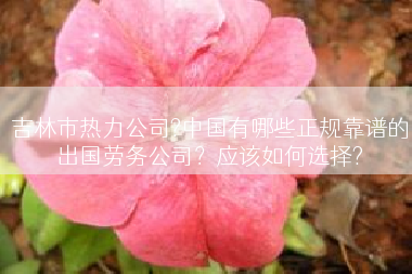 吉林市热力公司?中国有哪些正规靠谱的出国劳务公司？应该如何选择?