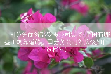 出国劳务商务部资质公司集资(中国有哪些正规靠谱的出国劳务公司？应该如何选择？)