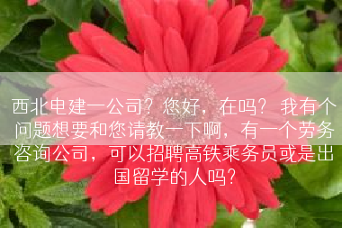 西北电建一公司？您好，在吗？ 我有个问题想要和您请教一下啊，有一个劳务咨询公司，可以招聘高铁乘务员或是出国留学的人吗？