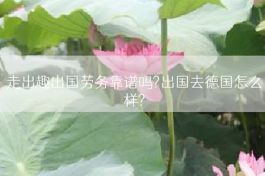 走出趣出国劳务靠谱吗?出国去德国怎么样?